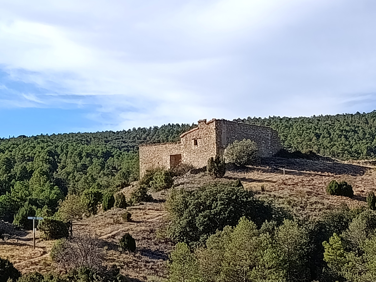 imagen del sendero