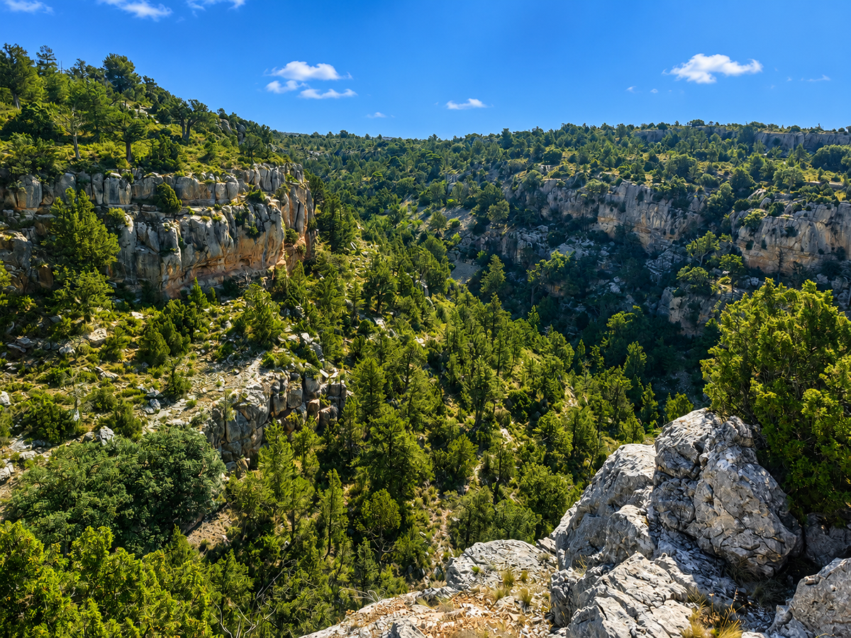 imagen del sendero