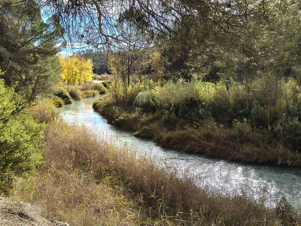 trail image