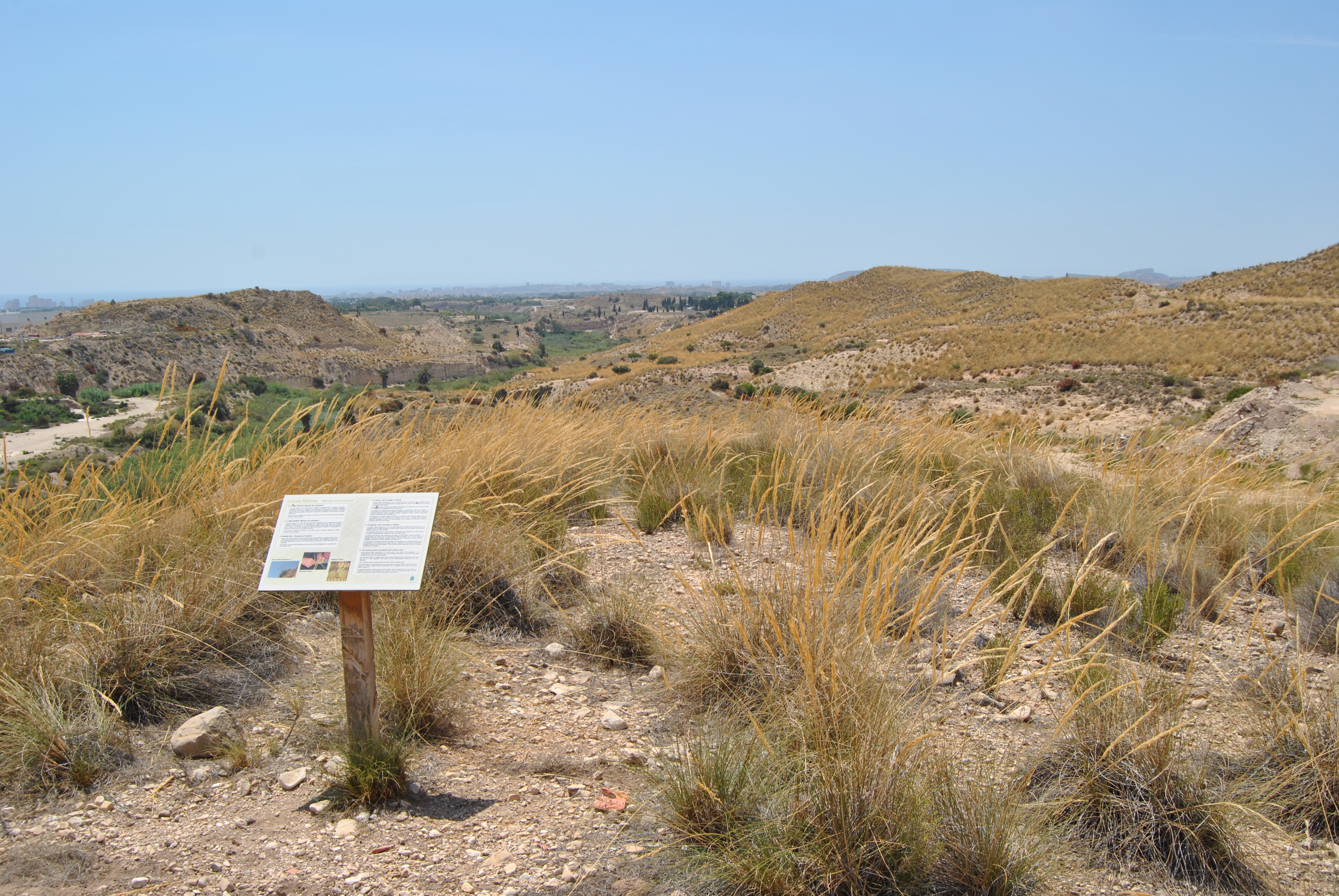 imagen del sendero