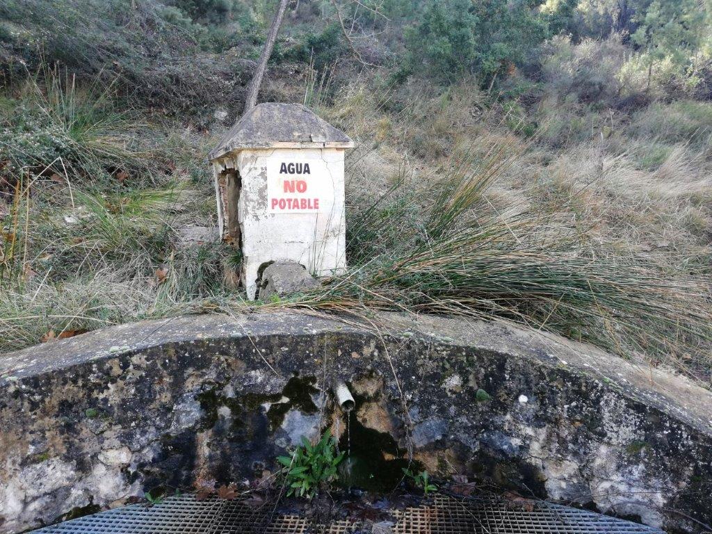 trail image