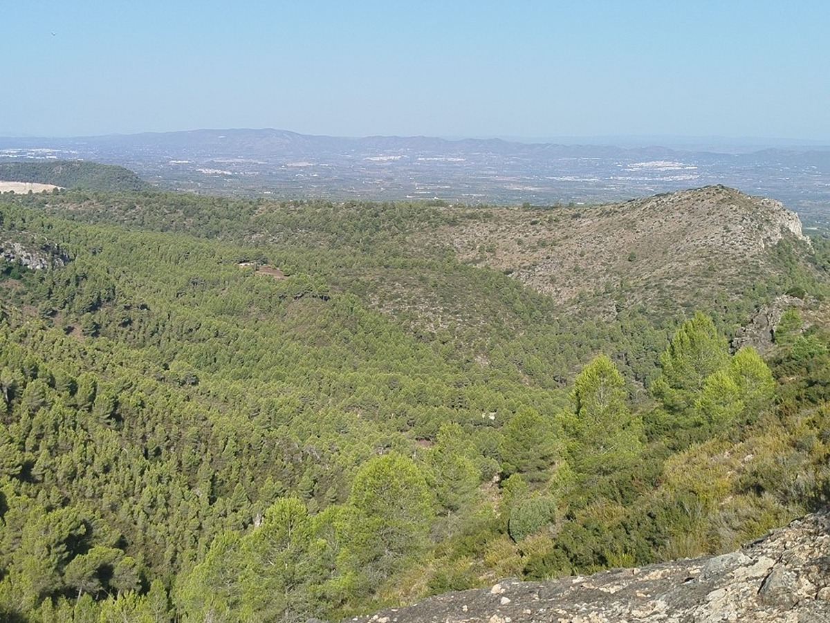 imagen del sendero