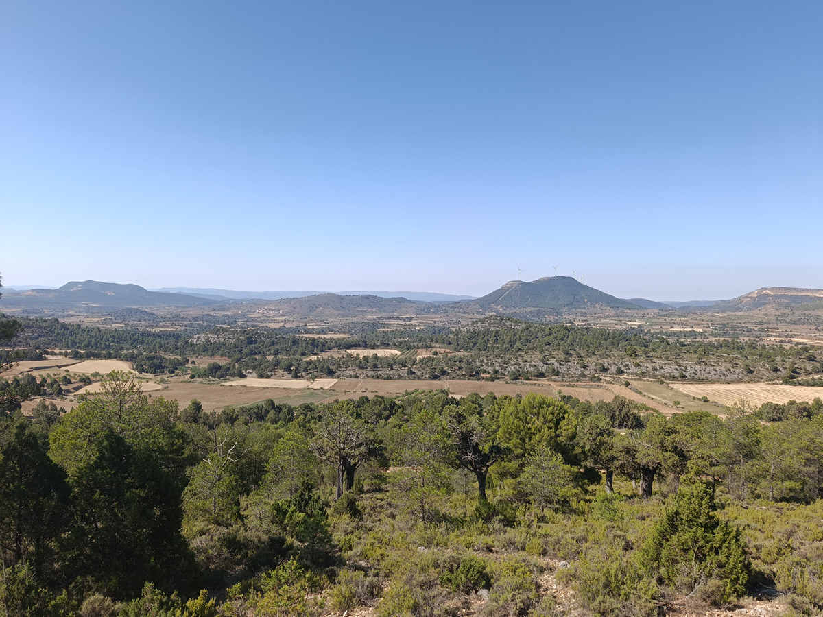 imagen del sendero
