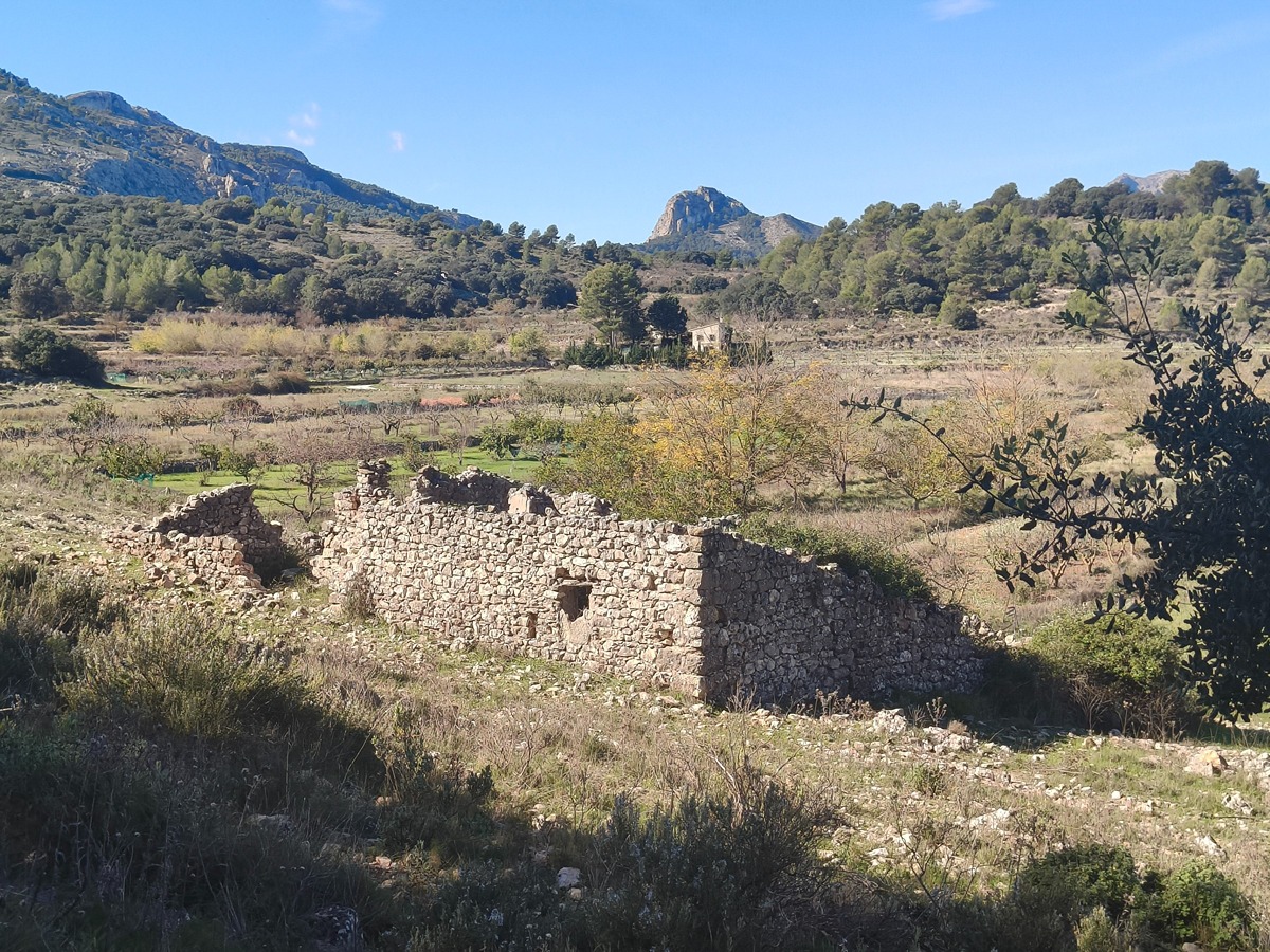 trail image
