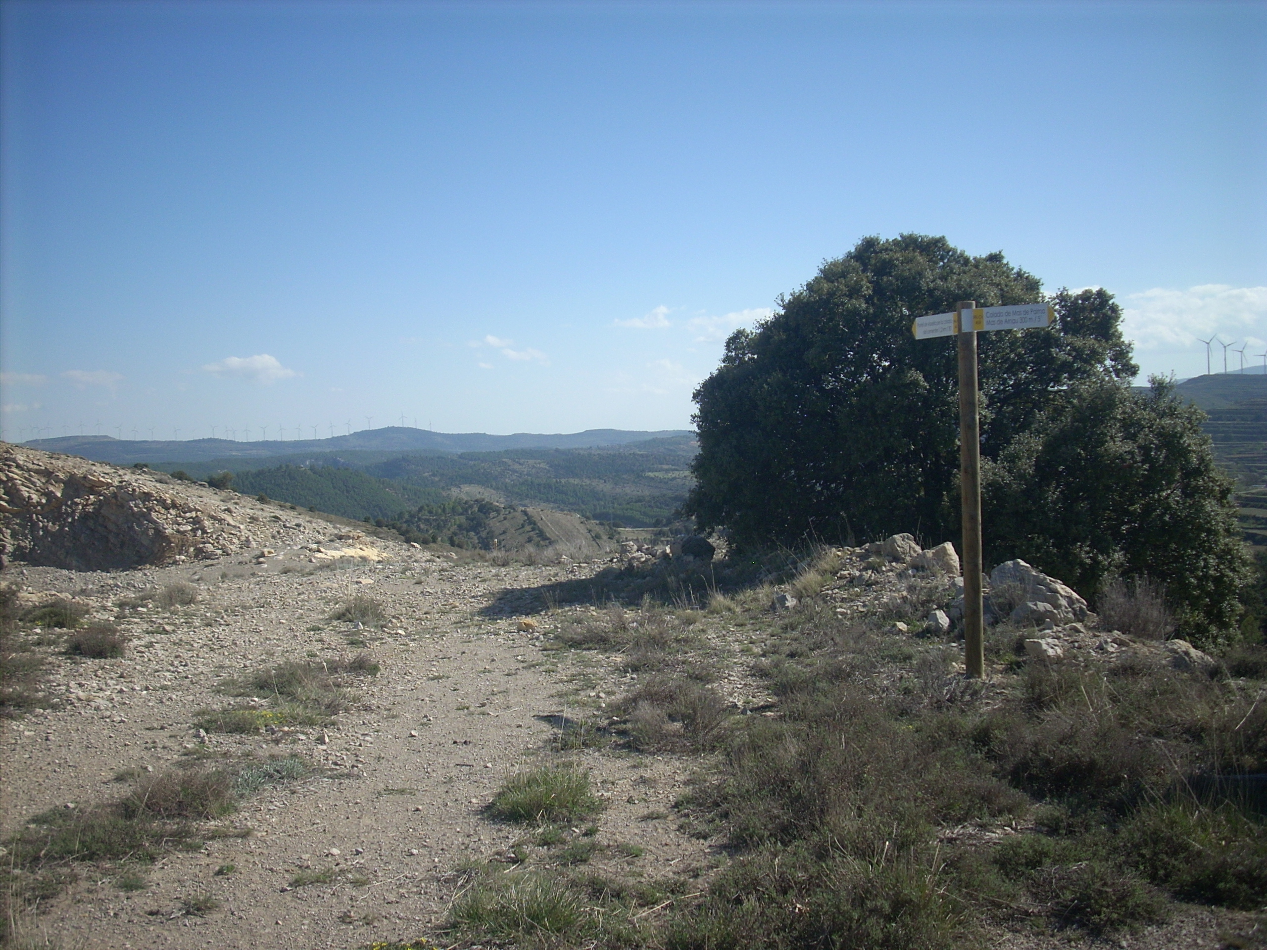 trail image