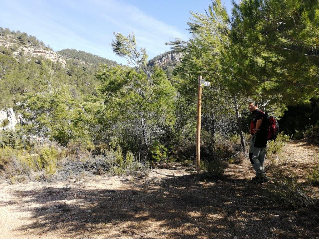 trail image