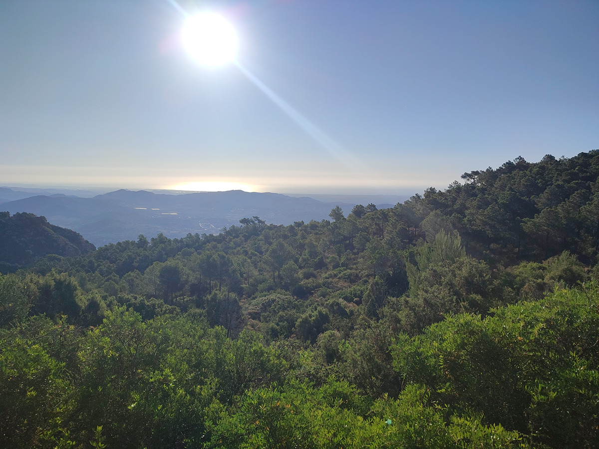 trail image