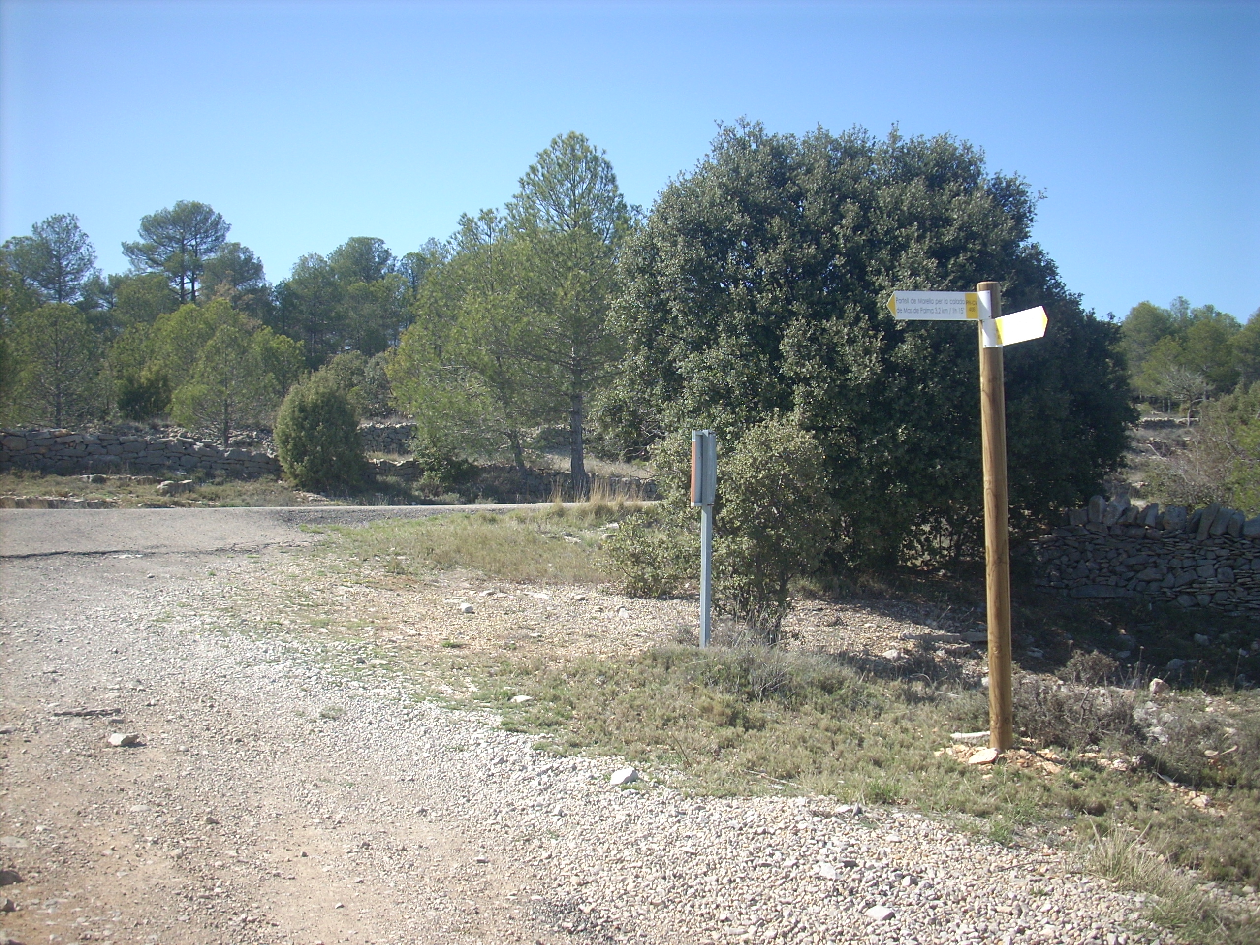 trail image