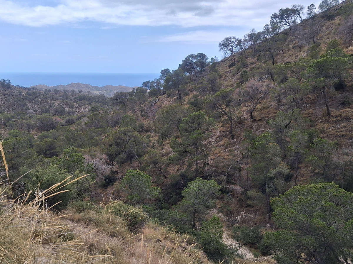 imagen del sendero