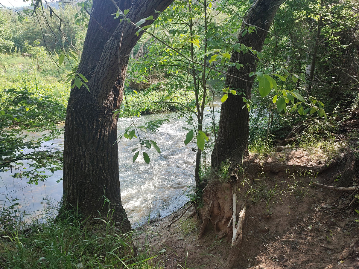 imagen del sendero