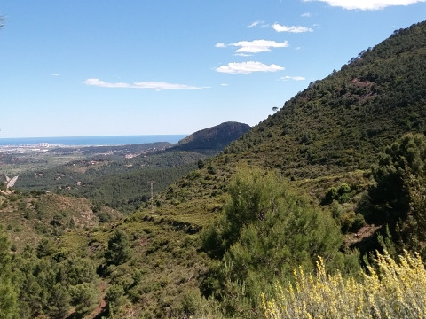 trail image