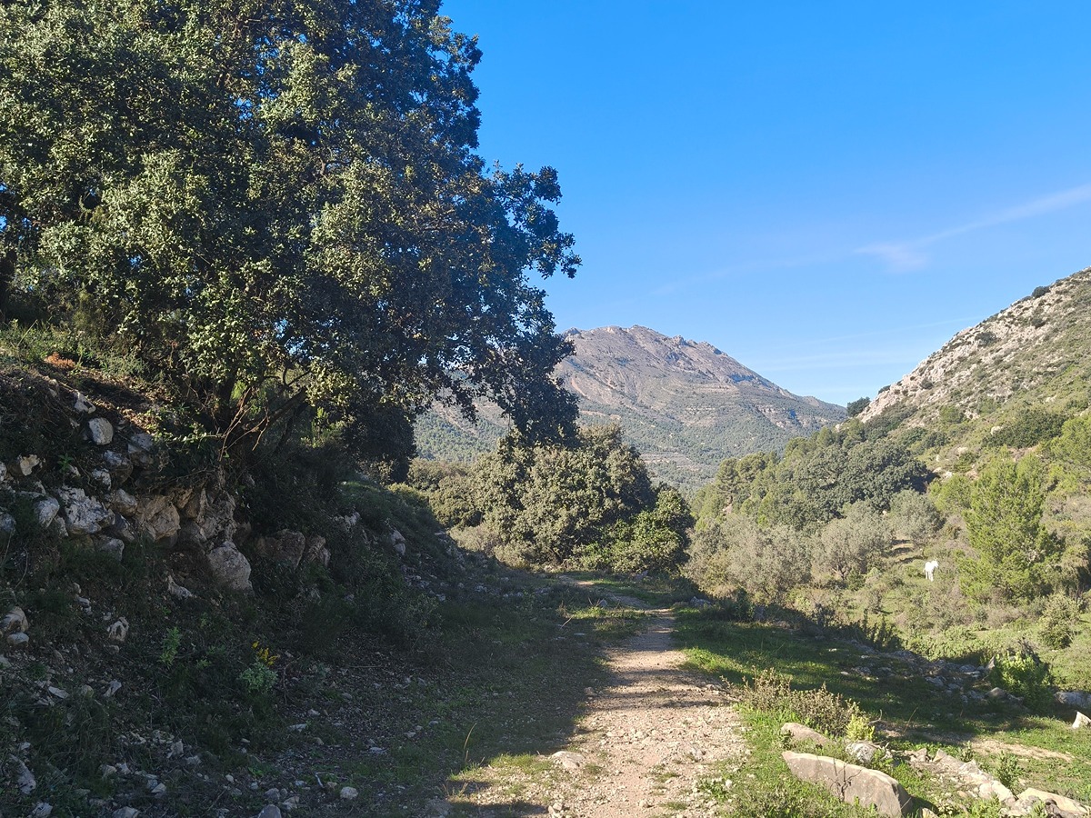 trail image