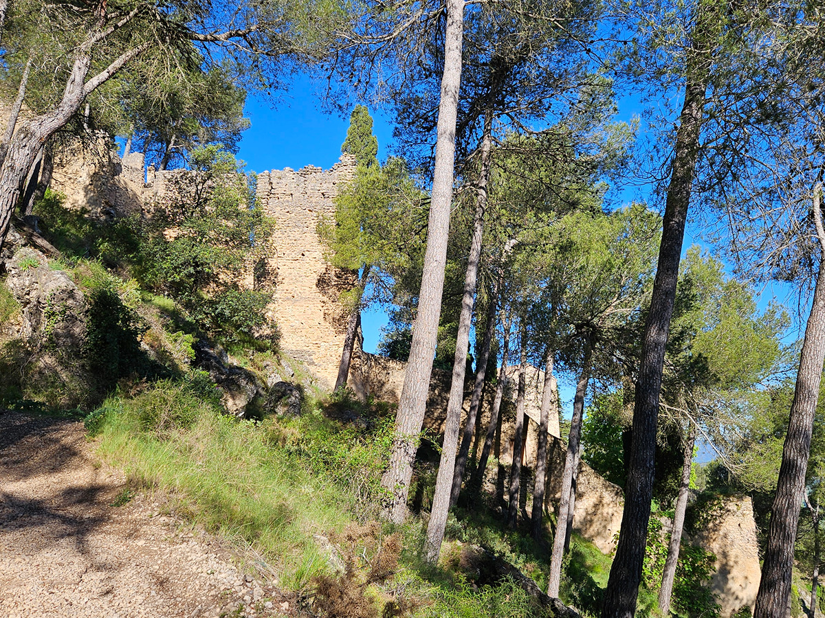 trail image