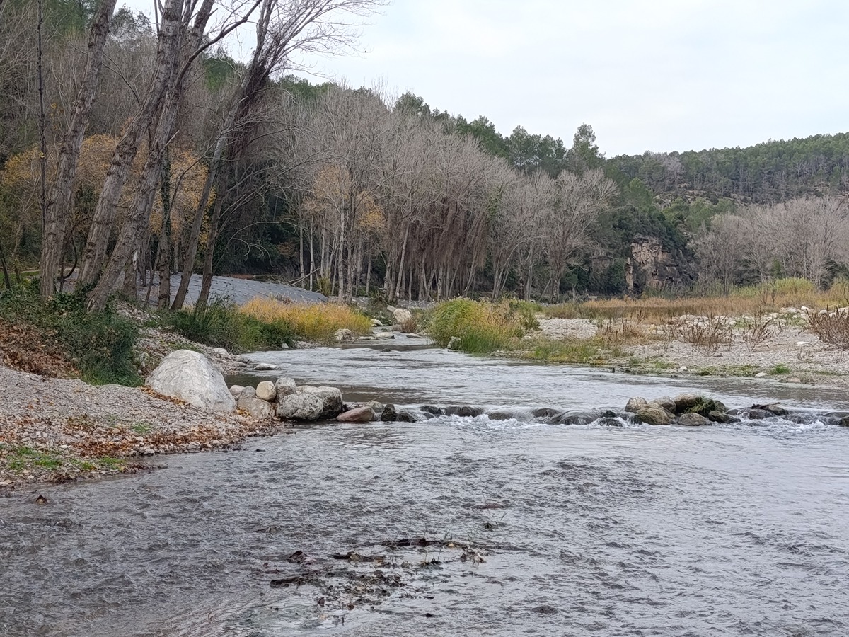 imagen del sendero