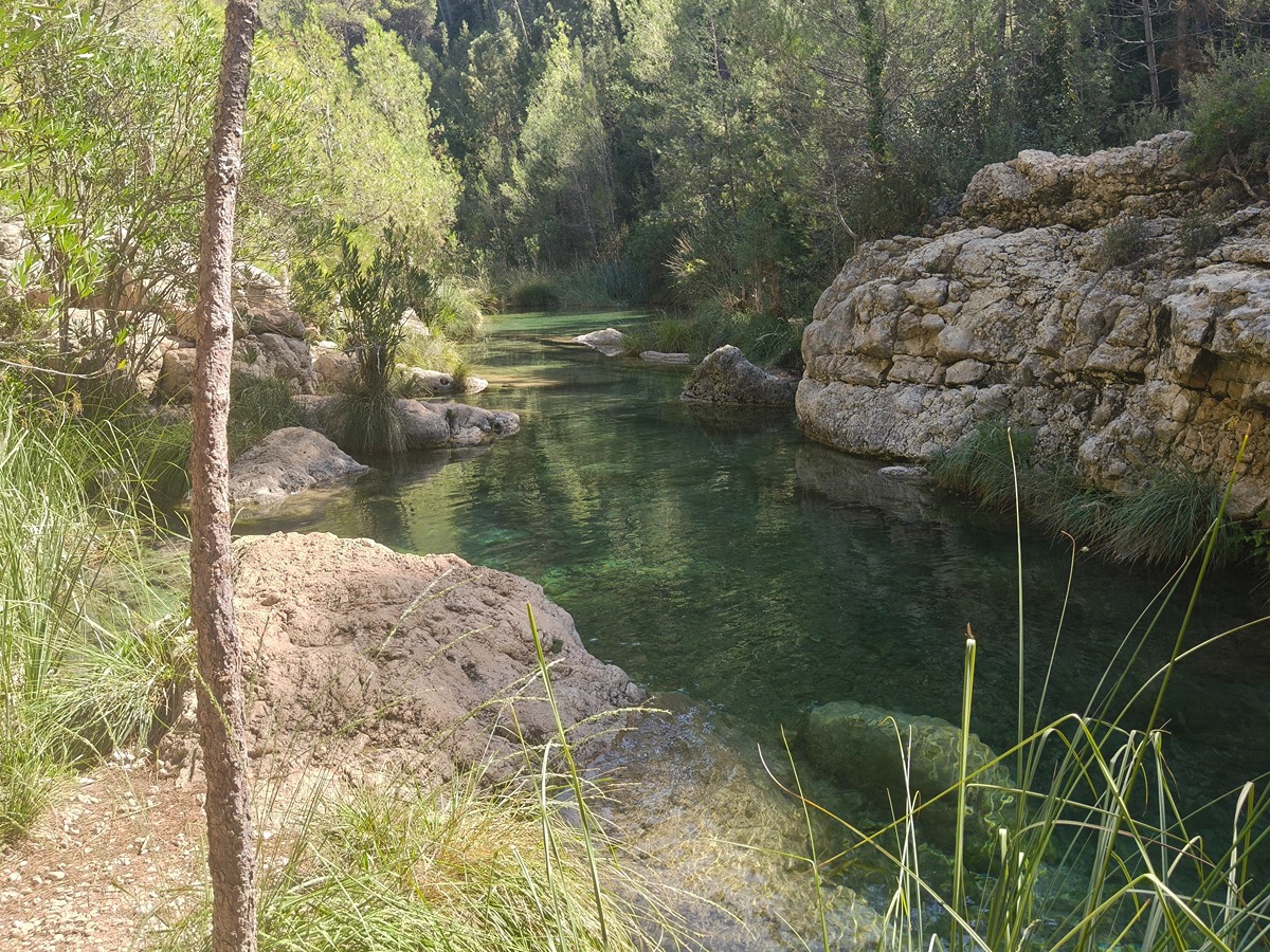 trail image