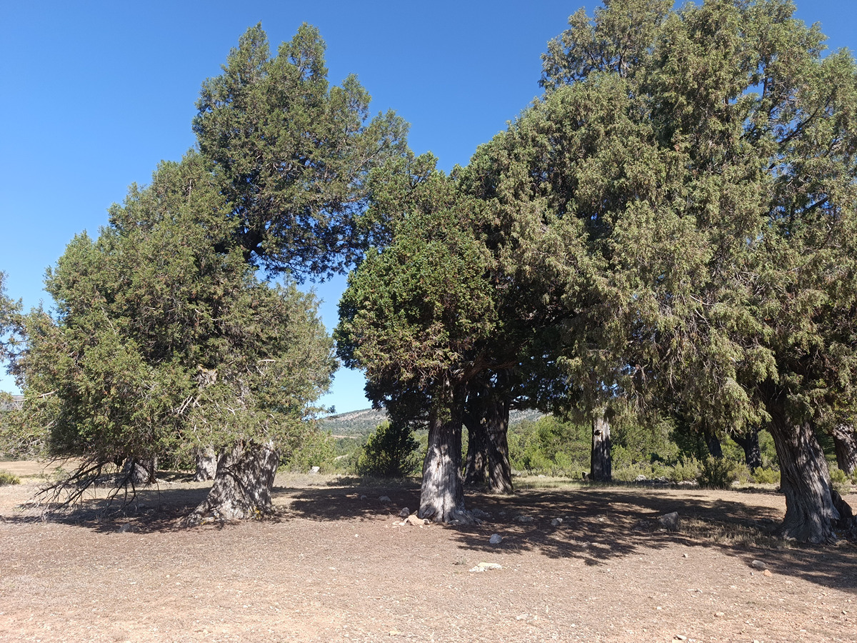 imagen del sendero