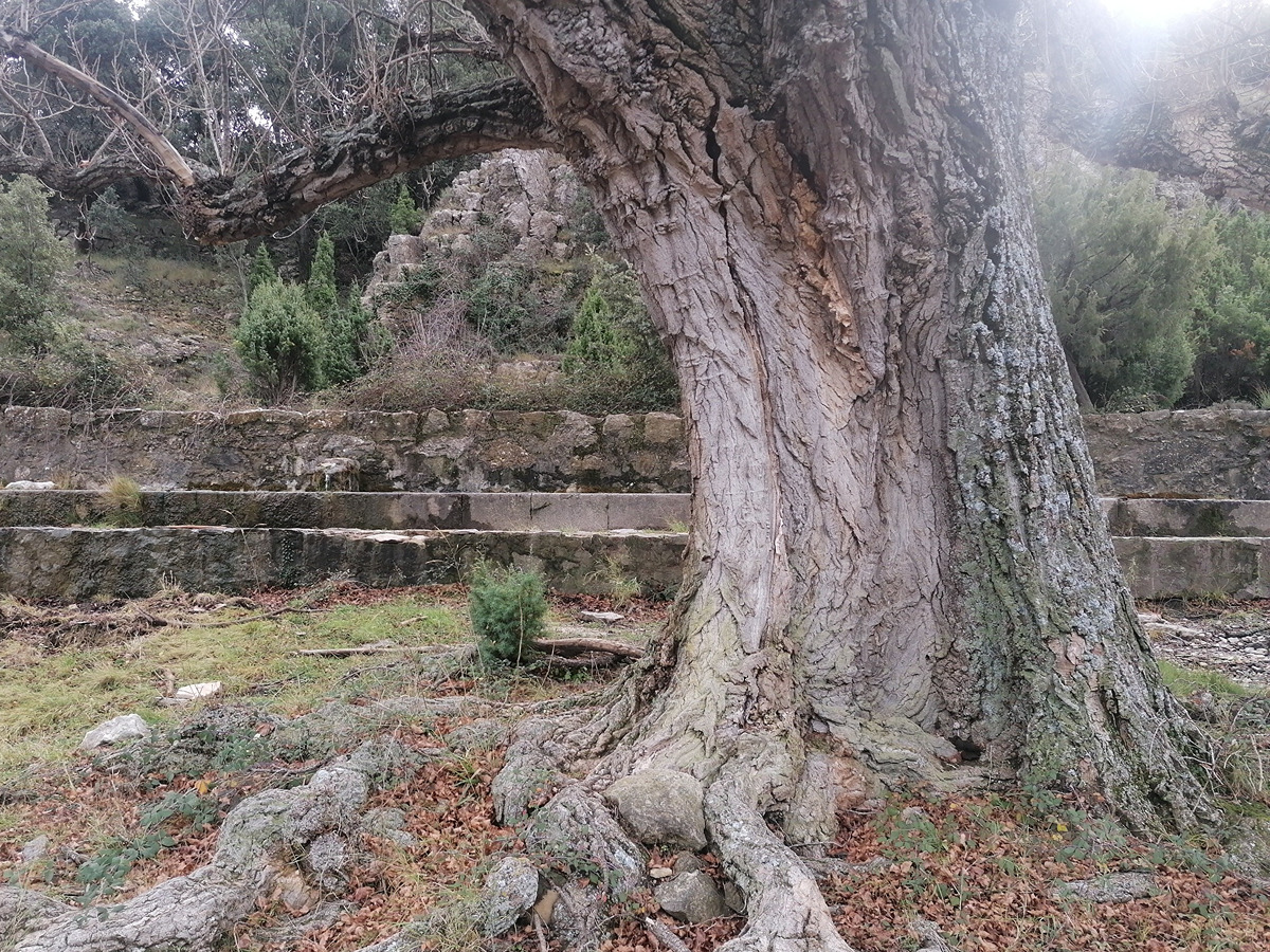 imagen del sendero