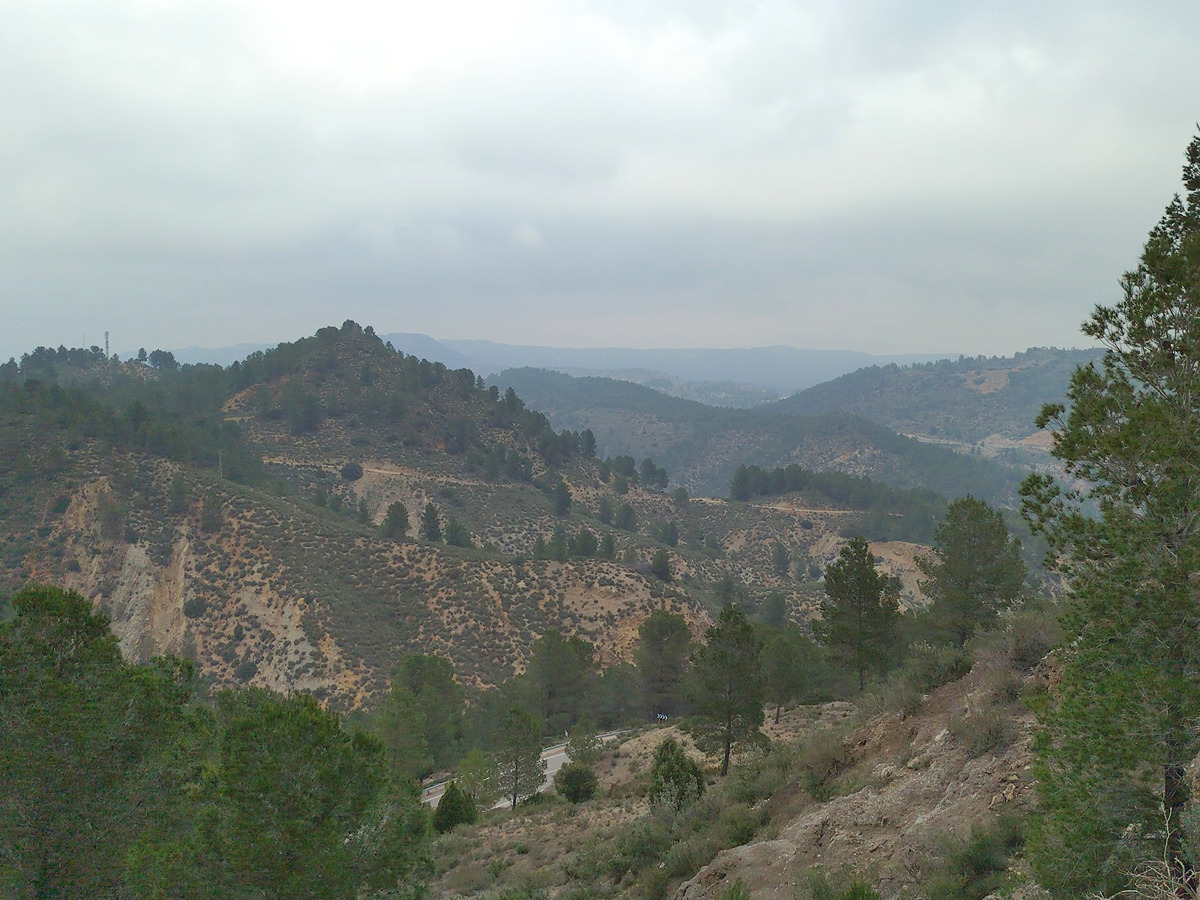 trail image