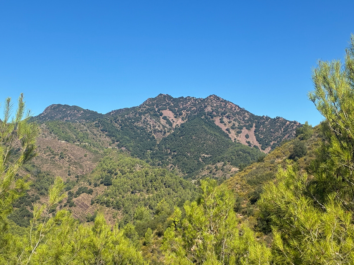 trail image