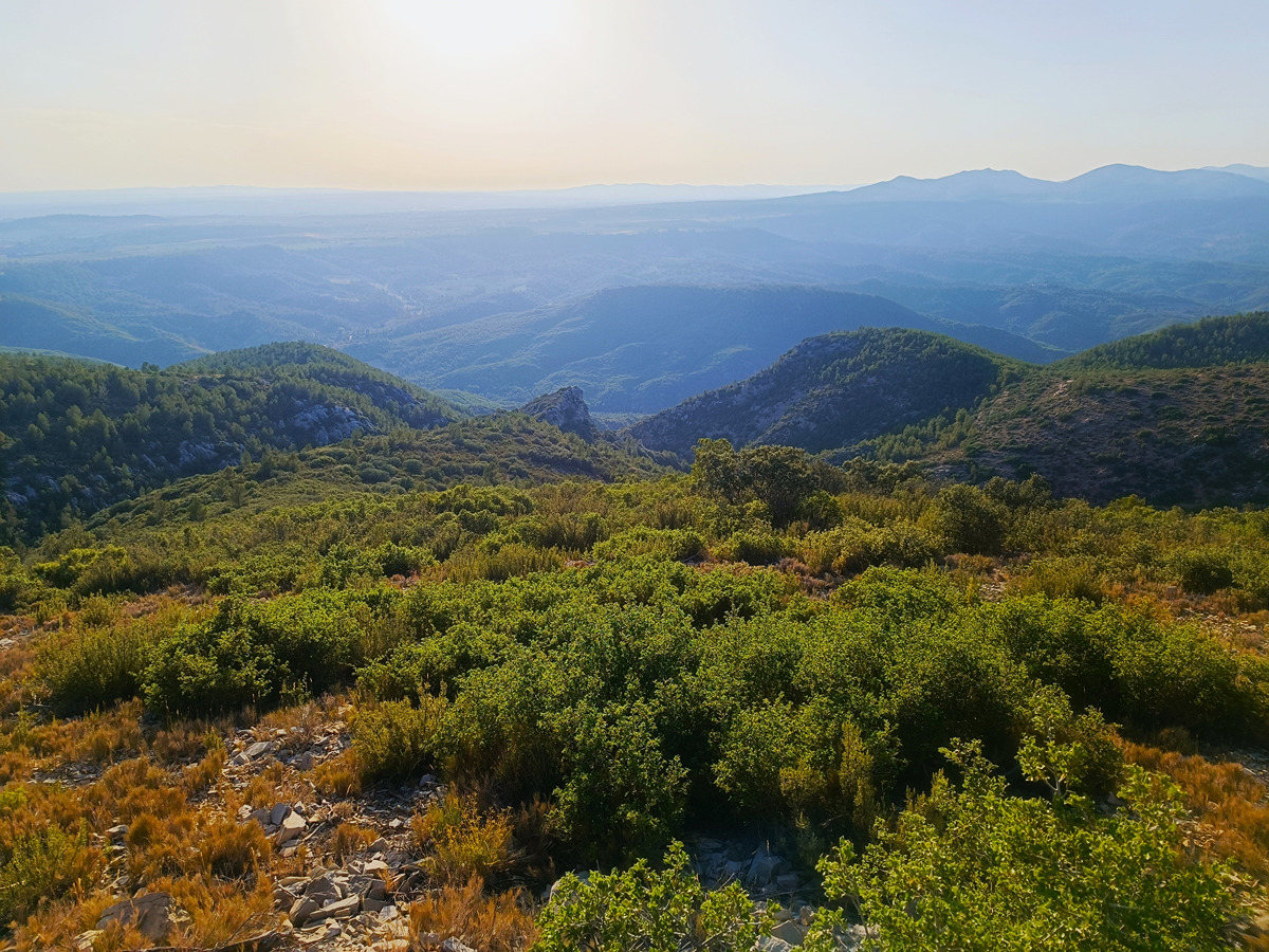 imagen del sendero