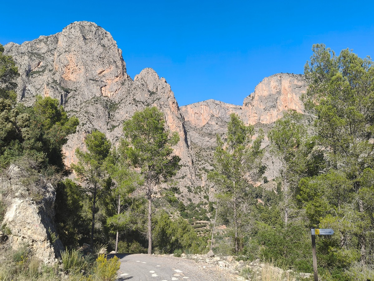 trail image