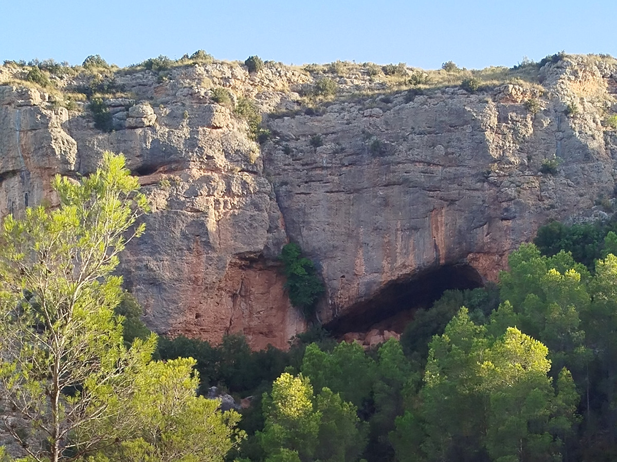 trail image