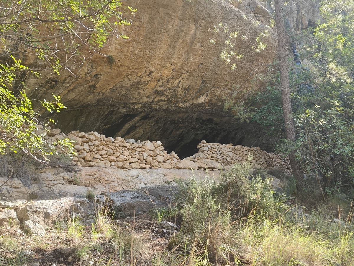 trail image