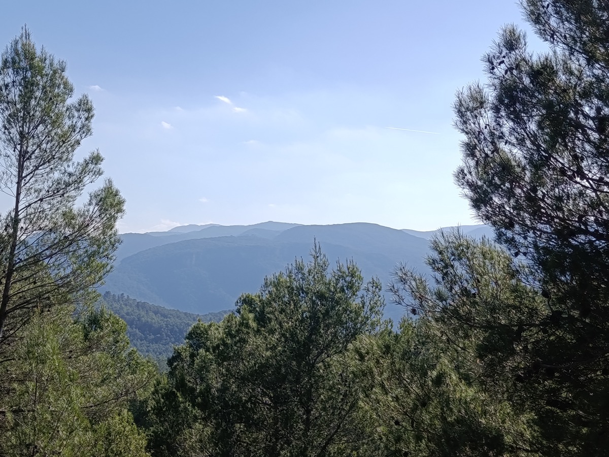 imagen del sendero