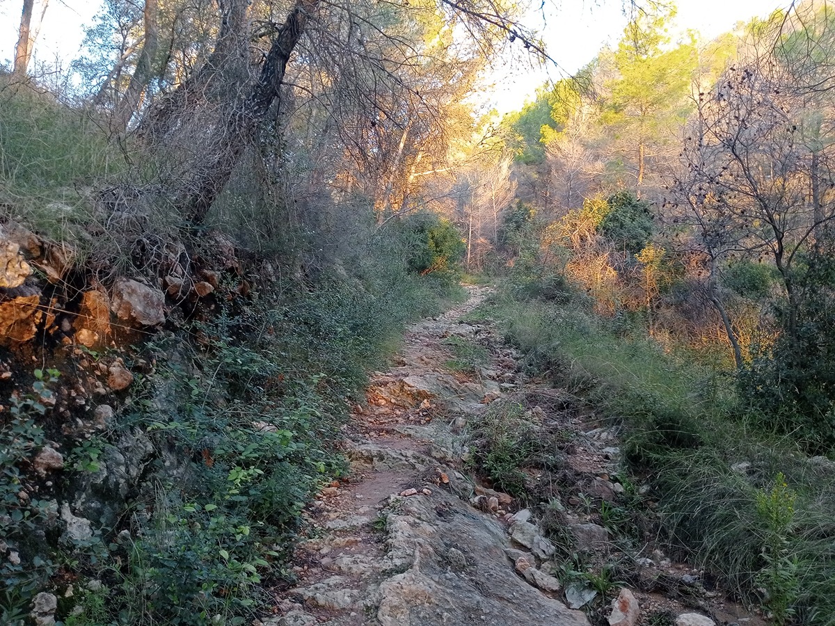 trail image