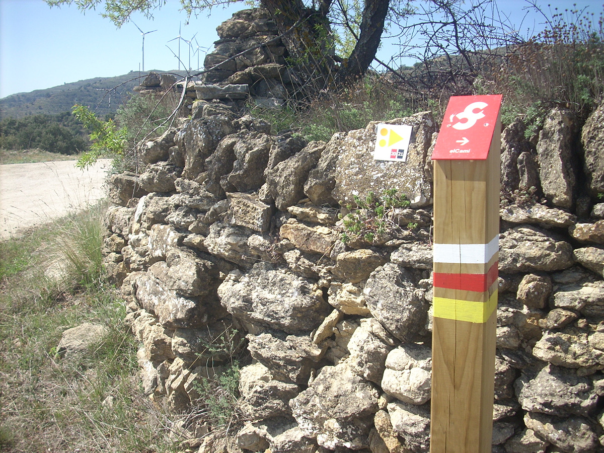 trail image