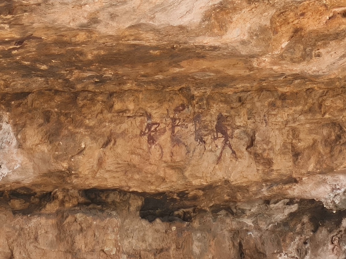trail image