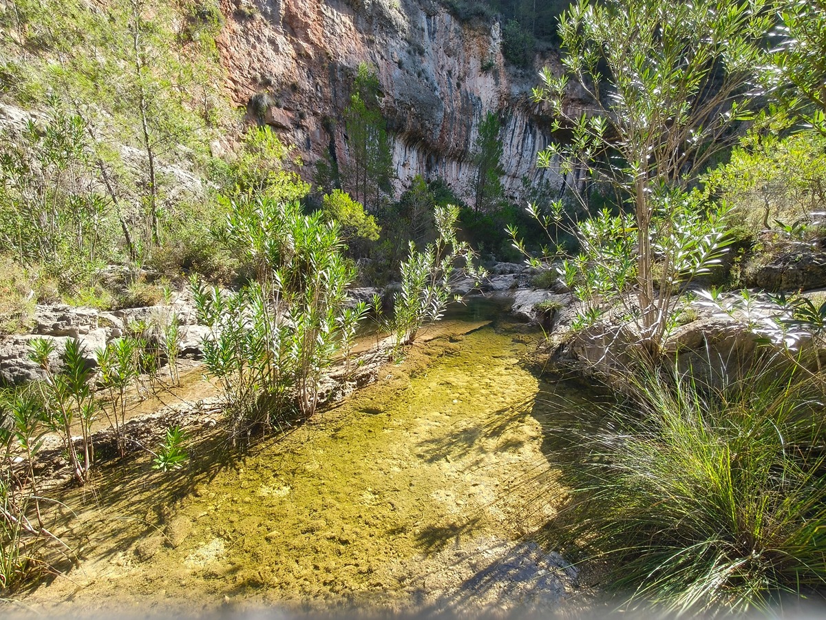 trail image
