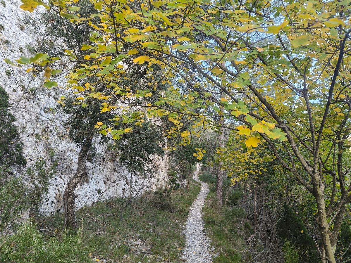 imagen del sendero