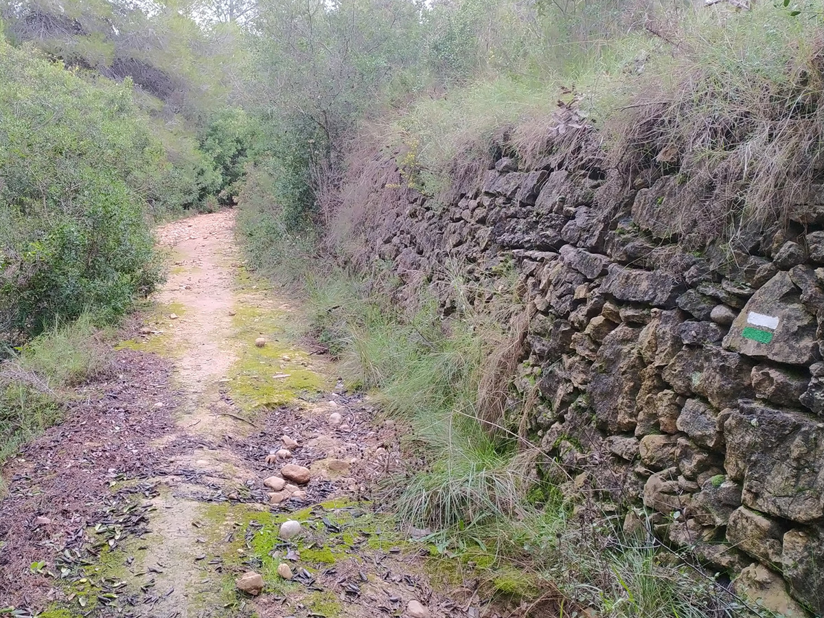 trail image