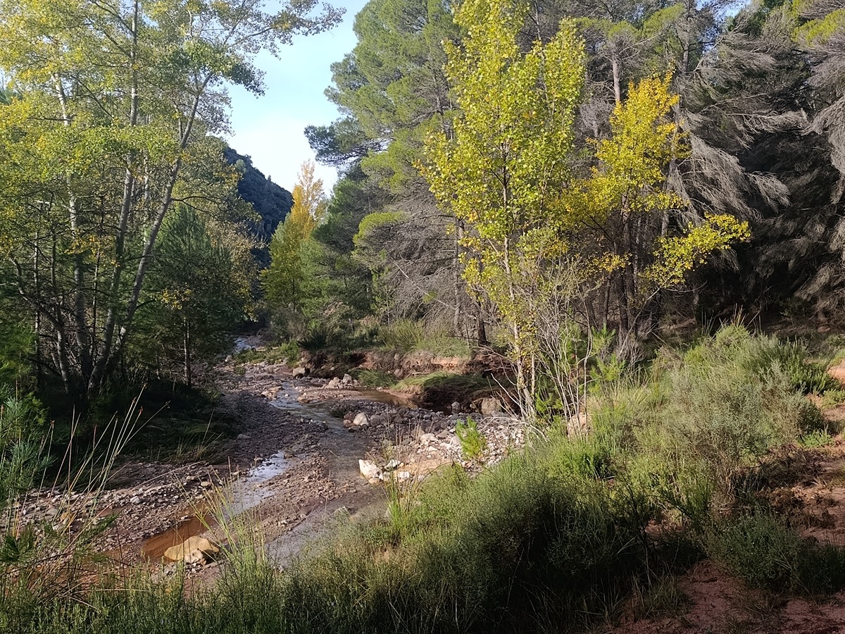 imagen del sendero