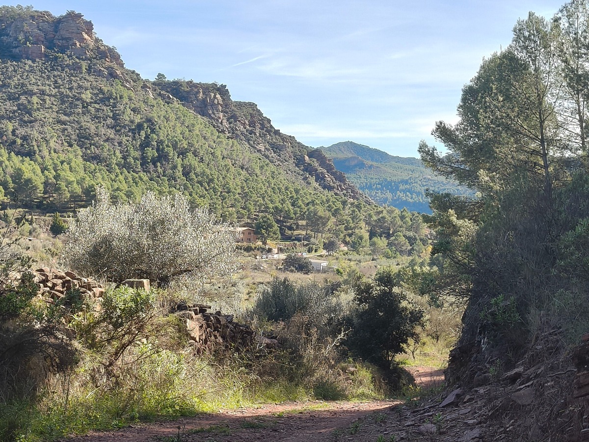 imagen del sendero