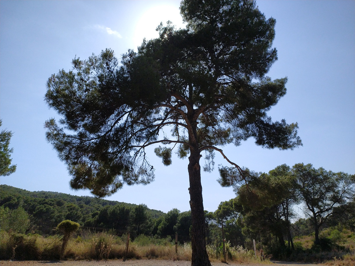 imagen del sendero
