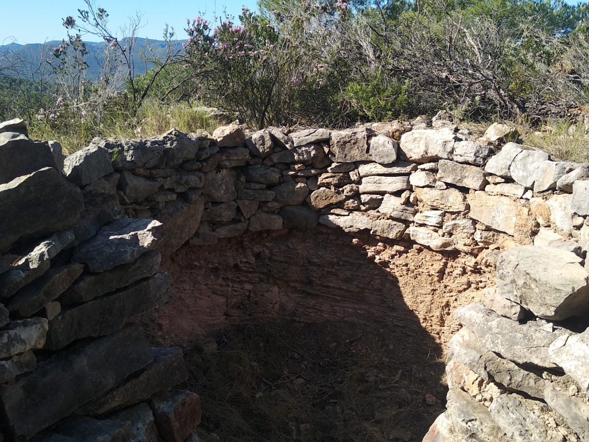 trail image