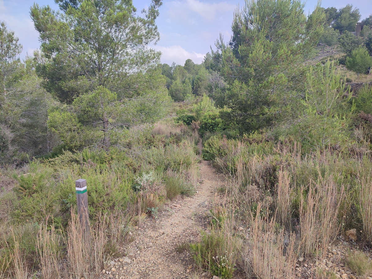 imagen del sendero
