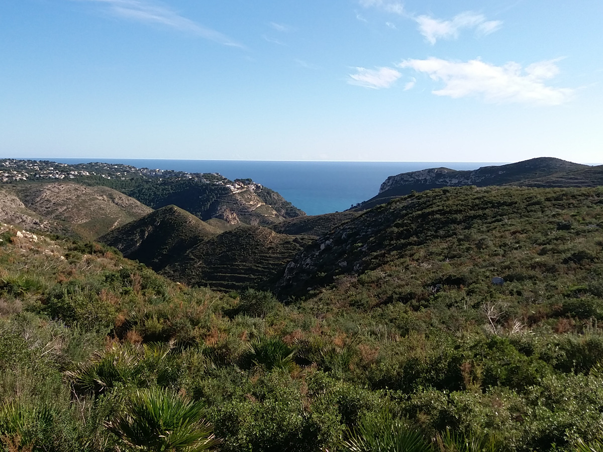 trail image