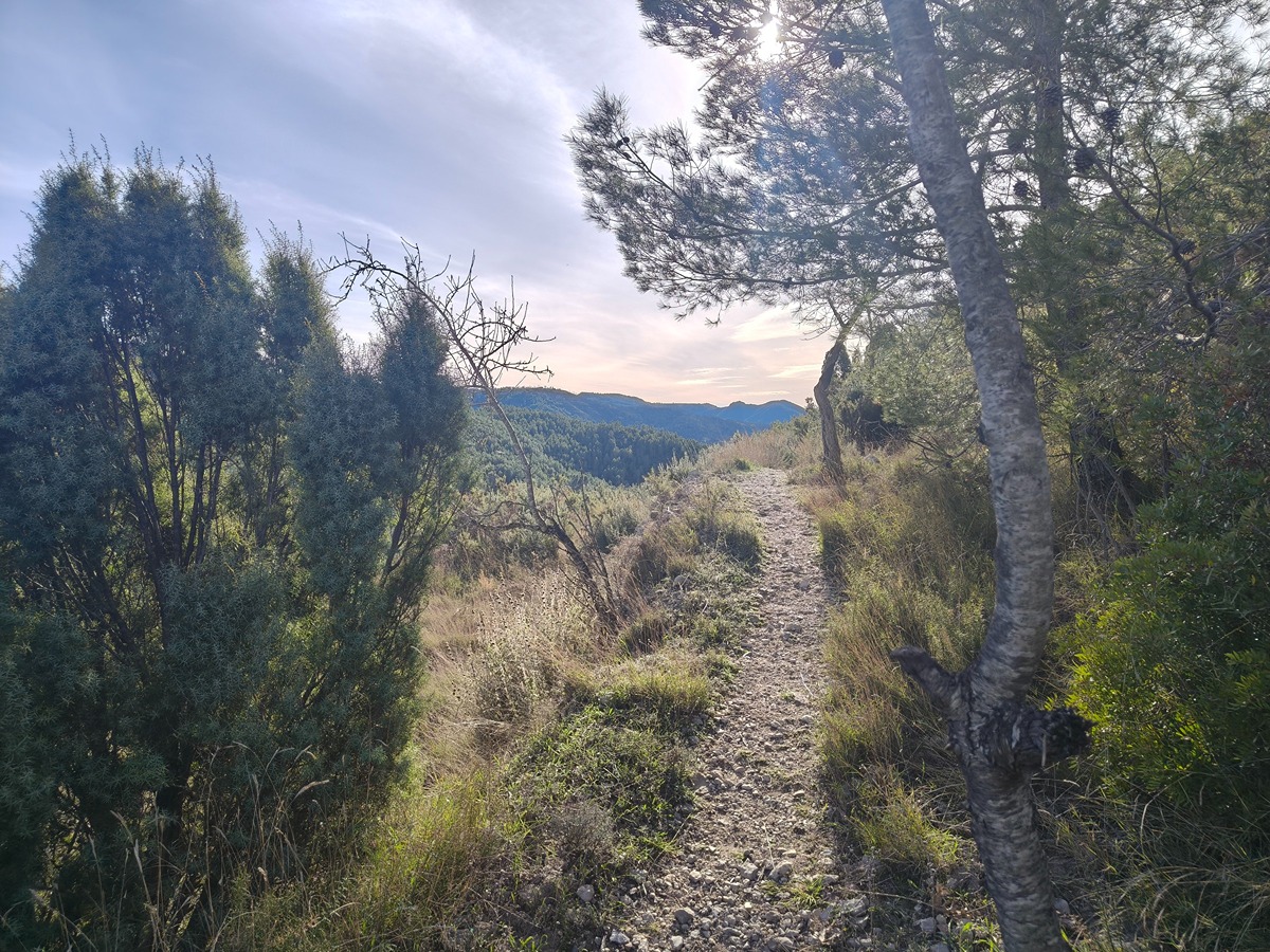 trail image