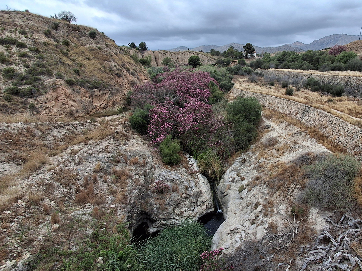 imagen del sendero
