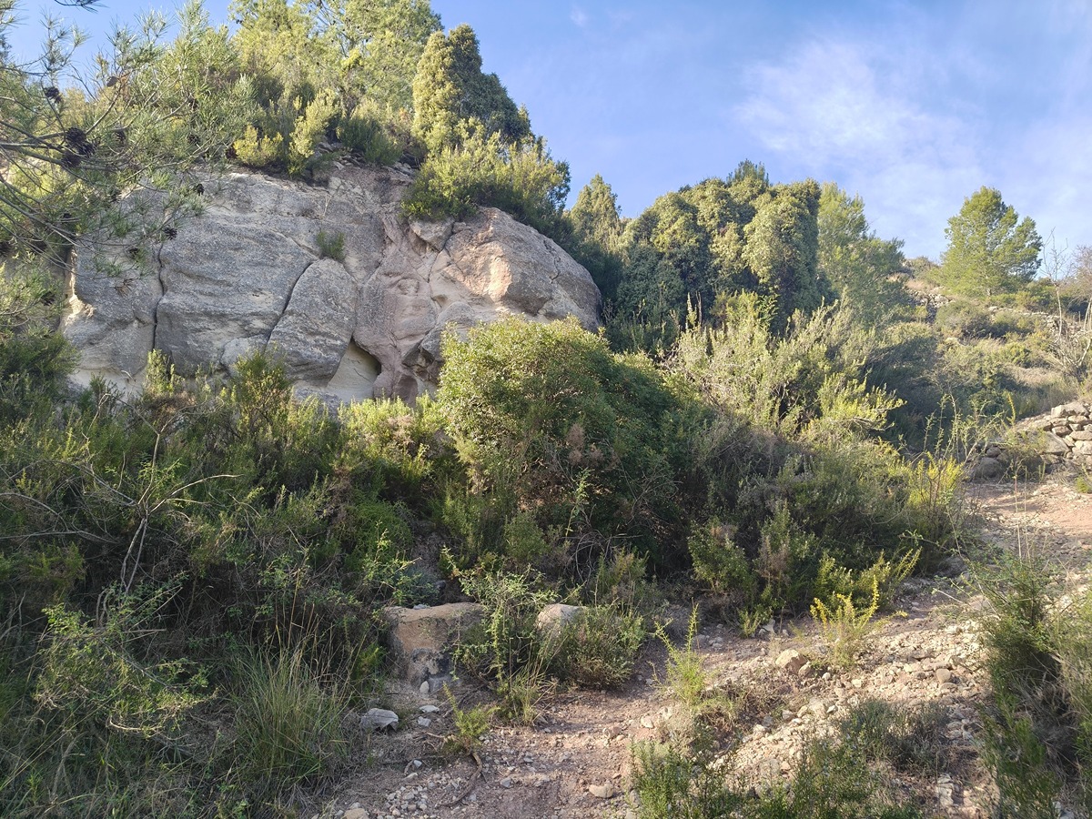 trail image