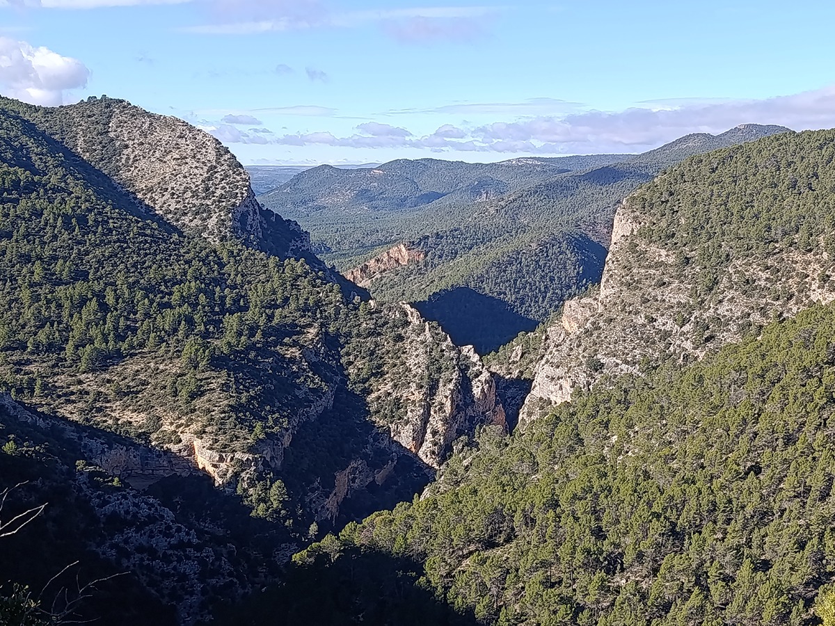 imagen del sendero