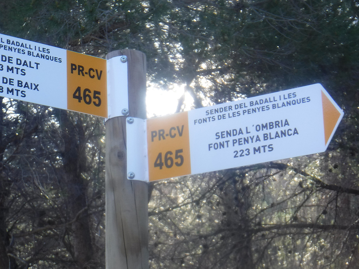 trail image