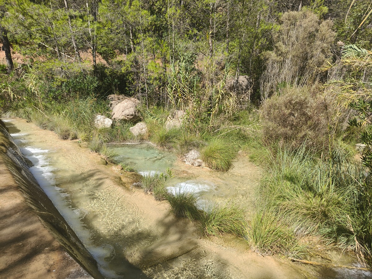 trail image