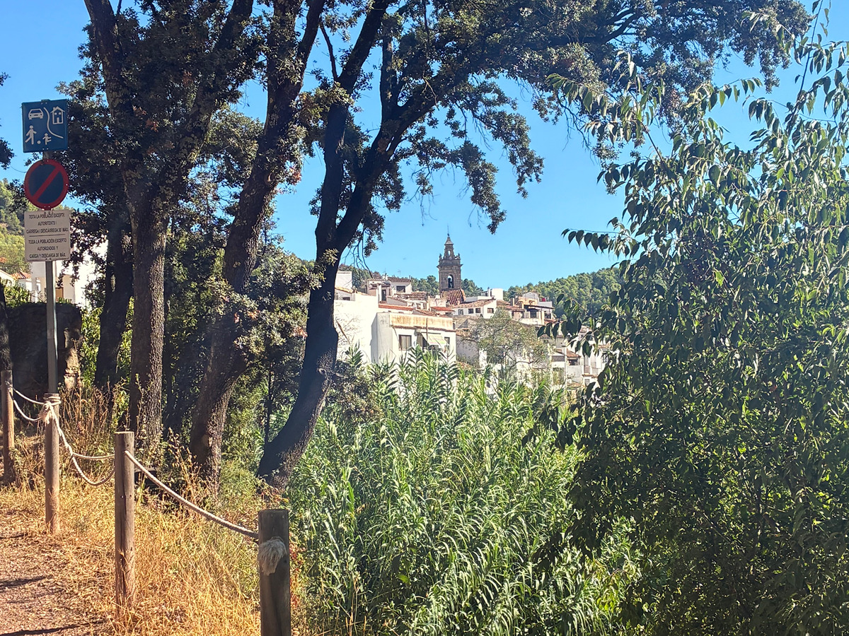 trail image