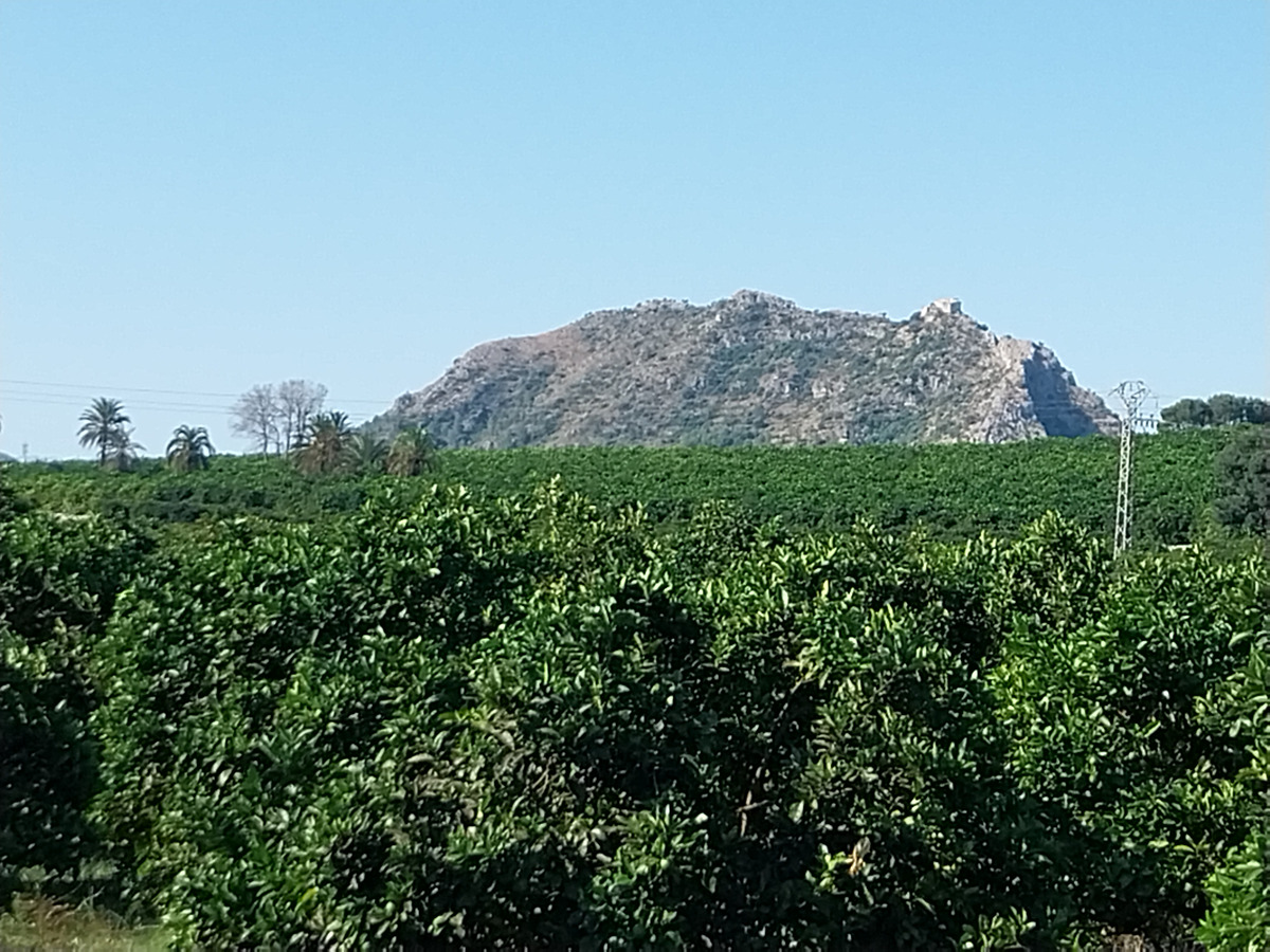imagen del sendero