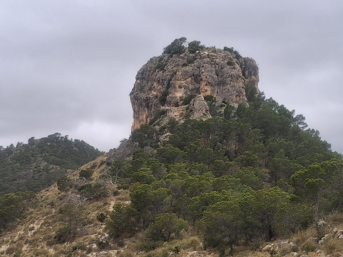 imagen del sendero