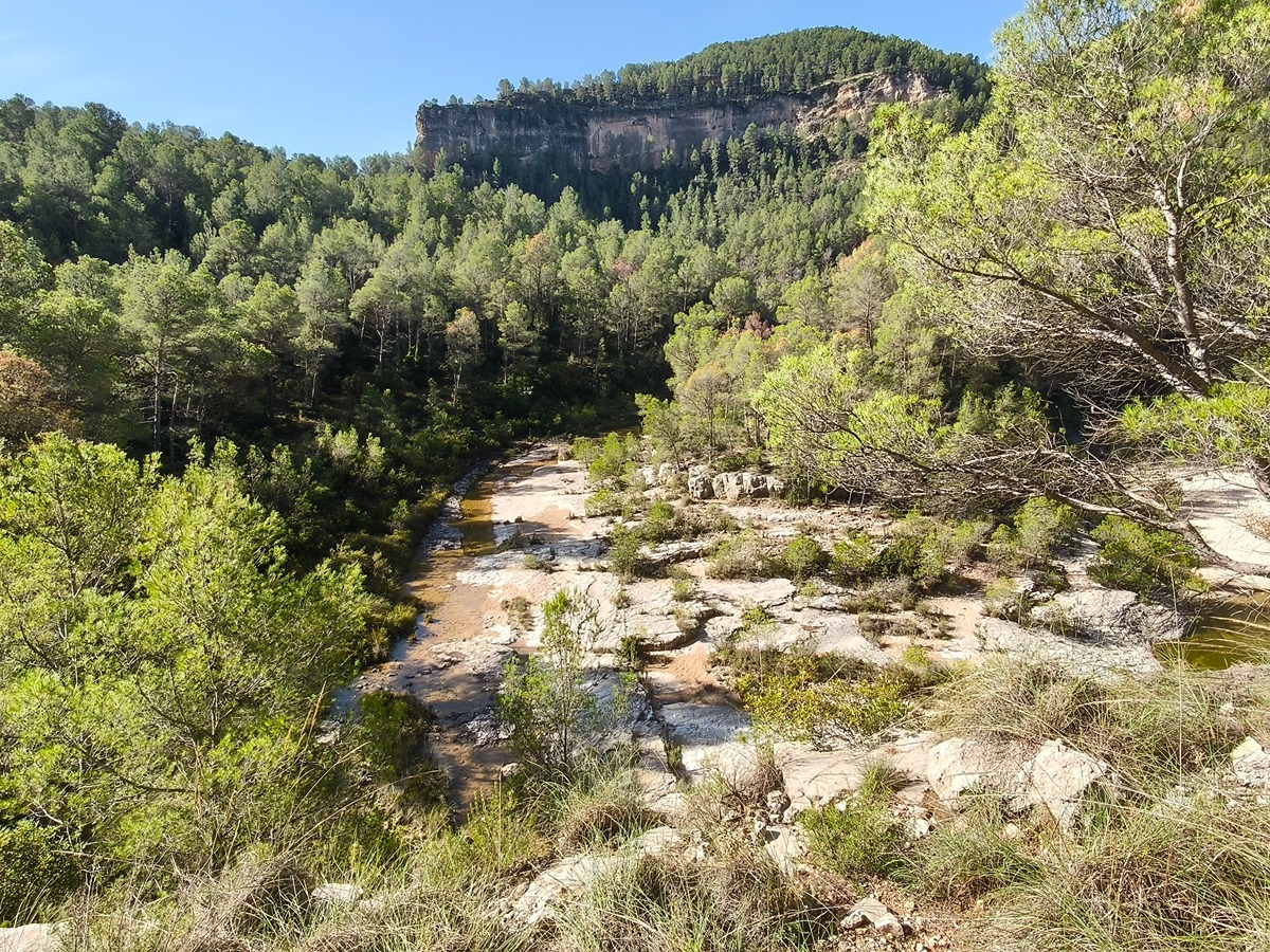 trail image